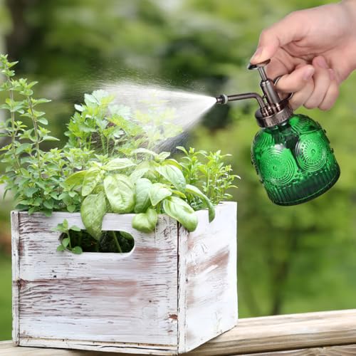 TOYANDONA Plant Mister Spray Bottle 6.29In Stylish Glass Water Sprayer for Indoor Plants Home Gardening One-Hand Operation