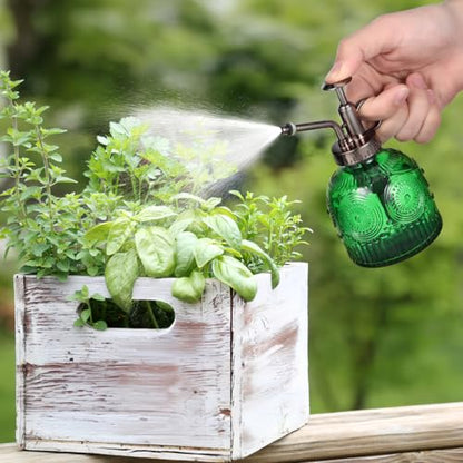 TOYANDONA Plant Mister Spray Bottle 6.29In Stylish Glass Water Sprayer for Indoor Plants Home Gardening One-Hand Operation