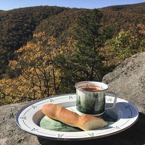 Golden Rabbit Enamelware Oval Platter, 12 x 16in, Forest Glen - color: Forest Glen