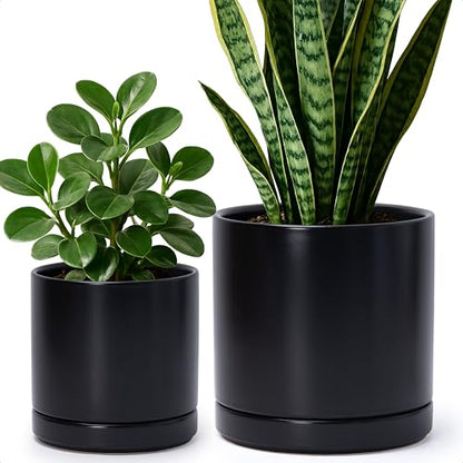 D'vine Dev 2-Pack Ceramic Pots with Saucers, 6/8 in, Black, 94-G-M-2 | Glazed Ceramic, Drainage Hole, Perfect-Fit Saucer, Sleek Cylinder Shape, High Temperature Fired, Elegant Home Accent - color: Black, size: Medium