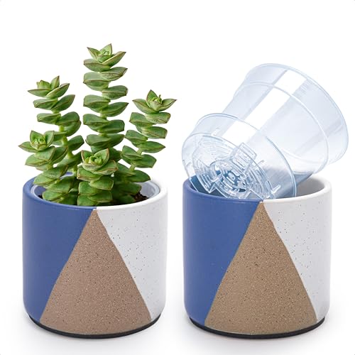 D'vine Dev 2-Pack Cachepot with Clear Pot, 4.5 in, Cobalt Canyon, 93-V-B-3 | Dual-Pot System, Root Visibility, Bottom Watering Support, Enhanced Drainage, Artistic Stoneware Design, Easy Plant Care - color: Cobalt Canyon, size: 4.5” Cachepot + 4“ Clear Gr