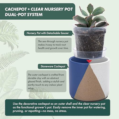 D'vine Dev 2-Pack Cachepot with Clear Pot, 4.5 in, Cobalt Canyon, 93-V-B-3 | Dual-Pot System, Root Visibility, Bottom Watering Support, Enhanced Drainage, Artistic Stoneware Design, Easy Plant Care - color: Cobalt Canyon, size: 4.5” Cachepot + 4“ Clear Gr