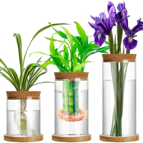 3 Pcs 3 Sizes Plant Propagation Station Separated Glass Plant Terrarium Water Hydroponic Planter Holder with Lid and Wooden Stand Propagation Vase Pot for Home Indoor Office(Various Sizes) - size: Various Sizes
