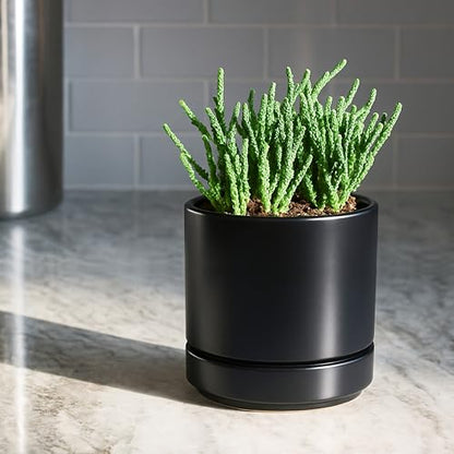 D'vine Dev 2-Pack Ceramic Pots with Saucers, Black, 4/6 in, 94-G-S-2 | Glazed Ceramic, Drainage Hole, Perfect-Fit Saucer, Sleek Cylinder Shape, High Temperature Fired, Elegant Home Accent - color: Black, size: Small