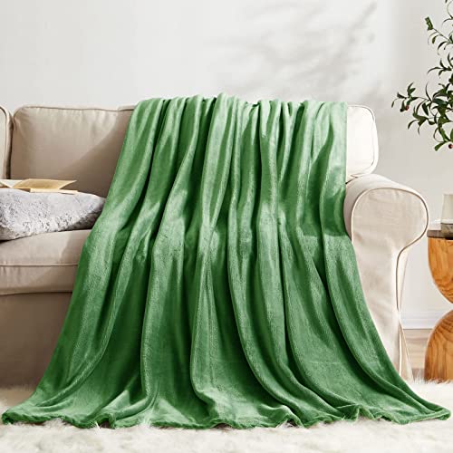 KMUSET Fleece Blanket Twin Size Emerald Lightweight Super Soft Cozy Luxury Bed Blanket Microfiber - color: Emerald, size: Twin(60"x80")
