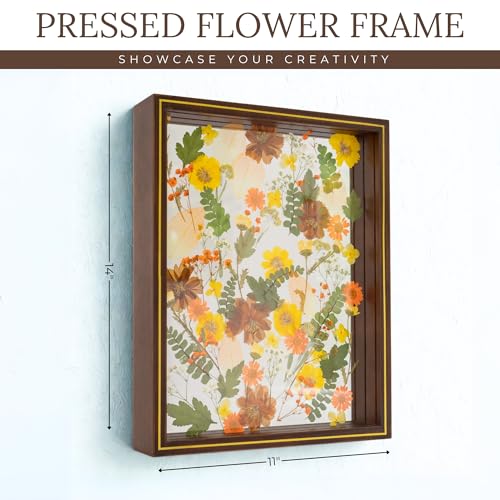 Pressed Flower Frame 11x14 Floating Glass for Dried Flowers