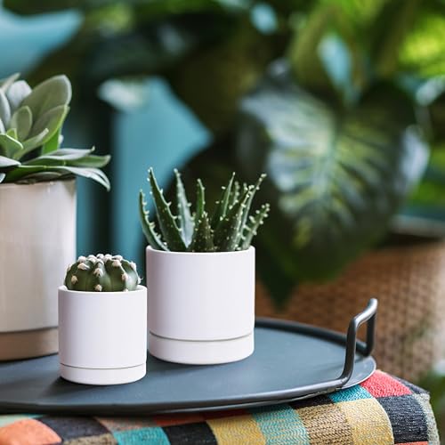 D'vine Dev 2-Pack Ceramic Pots & Saucers, White, 3.5/4.7 in, 94-G-XS-1 | Glazed Ceramic, Drainage Hole, Perfect-Fit Saucer, Sleek Cylinder Shape, High Temperature Fired, Elegant Home Accent - color: White, size: X-Small