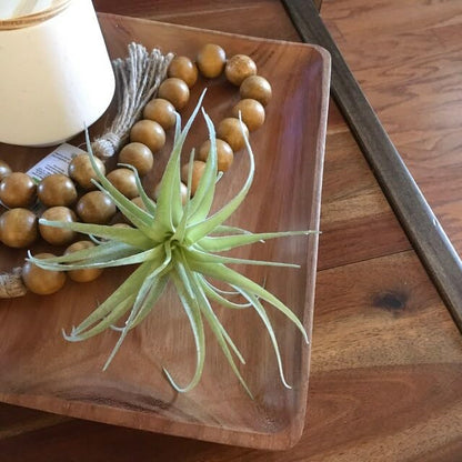 Casktcom® Large Green Real Touch Faux Air Plants, Lifelike Fake Tillandsia Pick, Artificial Air Plants for DIY Garden Wedding Home Decor — No Care Needed 5 pcs - size: Mix Size