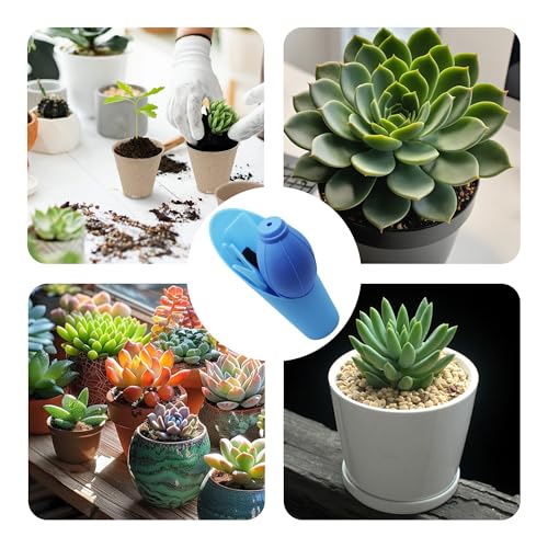 6Pcs Mini Succulent Tools Set, Garden Hand Tools Kit for Indoor Plant Care, Succulent Bonsai Miniature Garden Tool Set, Small Gardening Tools for Transplanting Digging Planting, Blue - style: Blue