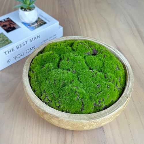 NAHARO Moss Wood Bowl, Natural Round Decorative Dough Bowl, Artificial Moss Centerpiece for Wedding Table, Home Decoration, Living Room, Office, No Maintenance