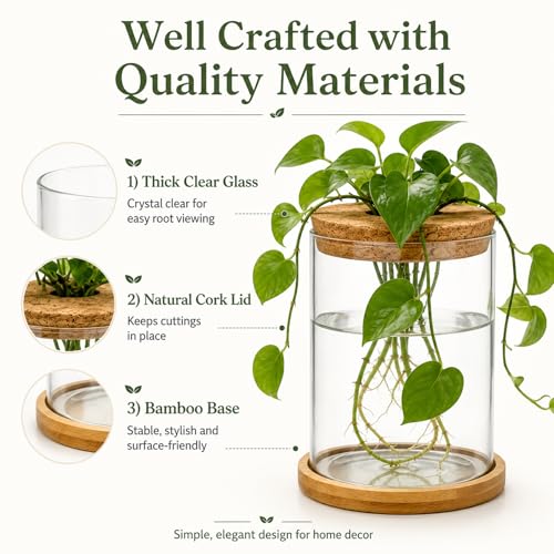 Glass Plant Propagation Stations, 2PCS | Hydroponic Vases, Wooden Lid, Bamboo Stand, Home & Office Decor