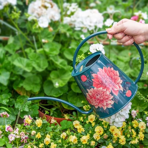 Berry&Bird 2L Long Spout Watering Can, Stainless Steel Water Can (Dahlia) | 2L stainless steel watering can, long narrow spout, elegant print, curved handle, leakproof, houseplant watering & decor - color: Dahlia