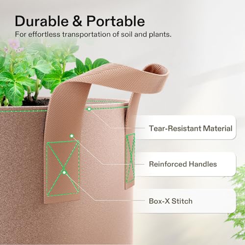 VIVOSUN 5-Pack 3 Gallon Plant Grow Bags Fabric Pots with Handles | 300G Thickened Nonwoven Fabric, Excellent Drainage, Healthy Root Growth, BPA-Free, Reusable - color: Tan, size: 3 Gallons