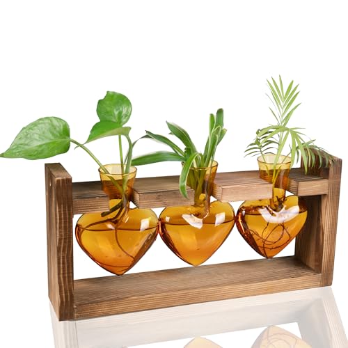 Kingbuy 3-Heart Plant Terrarium Kit - Stained Glass Vase Propagation Station with Vintage Wood Stand - Wall-Mounted Tabletop Indoor Garden Decor for Home Kitchen Wedding Gift for Plant Lover, Amber - color: Amber