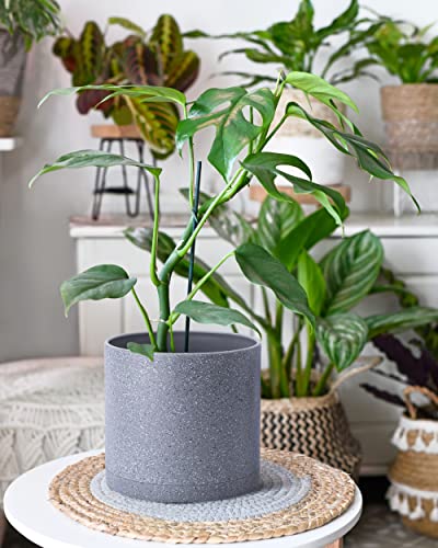 D'vine Dev 3-Pack Plastic Pots, 6.5/8/10 in, Speckled Gray, 74-V-G-4 | Multi-Size Options, Lightweight Durable, Matte Finish, Cylinder Shape, Drainage Holes, Sleek Design, Detachable Saucer - color: Speckled Gray, size: Large