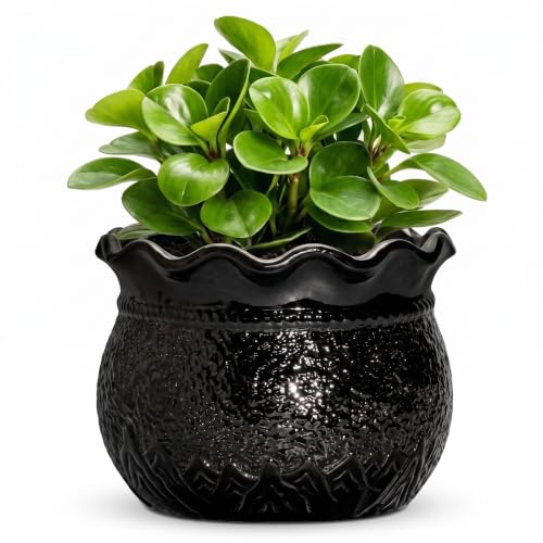 Ceramic Flower Pots 6 Inch, Unique Planter with Drainage, Black | Small Planters for Indoor Plants, Decorative Round Plant Pot, Room Apartment Decor, Garden Gifts Women - color: Black, size: 6 Inch