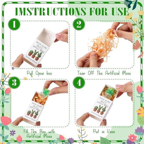 Jenaai 24 Sets Emotional Appreciation Gifts Bulk Mini Resin Cactus Cacti Work Would SUCC Without You Boxes Glow in the Dark Succulent Figurines for Coworkers Gift Employee Team Favors