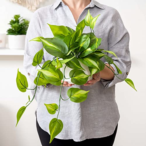 Kurrajong Farmhouse Dark Green Fake pothos | Fake Plant for Shelf Decor | Artificial Trailing Ivy Plant with 5" Wide Ceramic Pot | Faux pothos | Feaux Pothos | Bathroom and Kitchen Decor