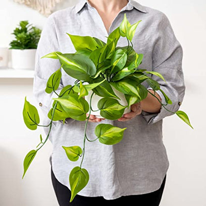 Kurrajong Farmhouse Dark Green Fake pothos | Fake Plant for Shelf Decor | Artificial Trailing Ivy Plant with 5" Wide Ceramic Pot | Faux pothos | Feaux Pothos | Bathroom and Kitchen Decor