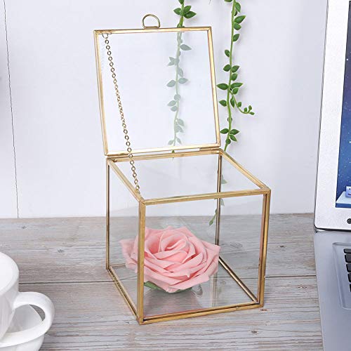 Glass Planter, 3.9in Geometric Terrarium with Gold Copper Frame