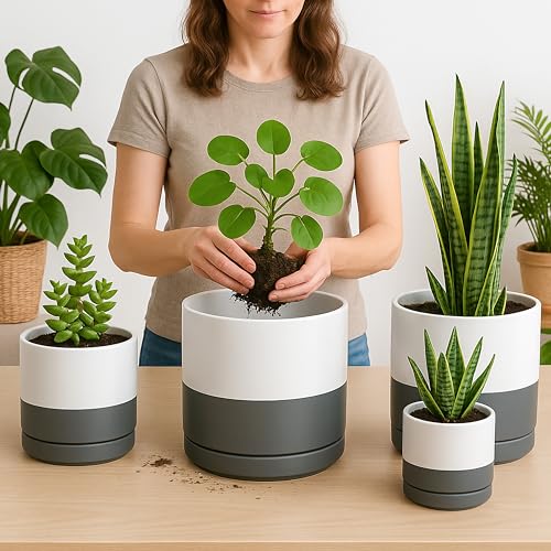 D'vine Dev 3-Pack Ceramic Pots & Saucers, 6/8/10 in, White/Grey, 94-T-L-6 | Glazed Ceramic, Drainage Hole, Perfect-Fit Saucer, Sleek Cylinder Shape, High Temperature Fired, Elegant Home Accent - color: White/Speckled Grey, size: 6"+8"+10"