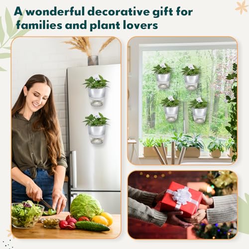 Hushee 4 Set Window Hanging Propagation Stations with Suction Cups Plastic Propagation Vases Propagated Plant Holder Wall Pots for Indoor Plants Office Home Garden Decoration Lover Gift (Clear) - style: Clear