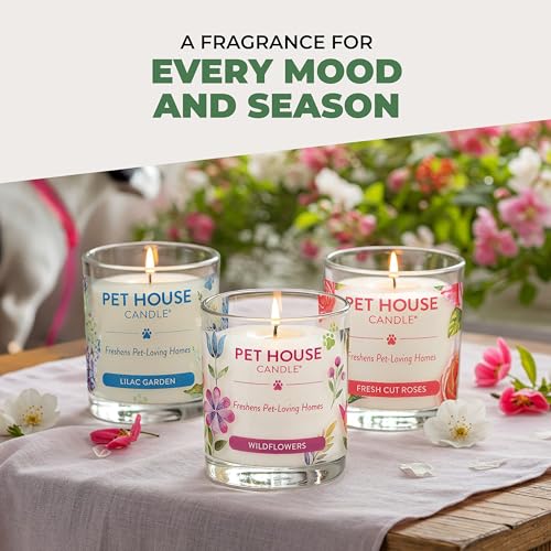 Pet House 9 oz Fresh Cut Grass Scented Candle, Clean Burning, Long Lasting Plant-Based Pet Odor Candle, 60 Hour Burn Time - 2 Pack - color: Fresh Cut Grass, size: Pack of 2