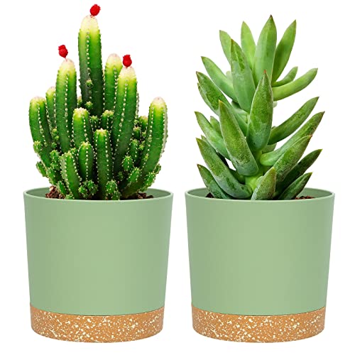 QCQHDU 5 inch Plant Pot, 2 Pack Planters for Indoor Plants with Drainage Holes & Saucer, Outdoor Flower Pots Home Garden Modern Decor - color: Green, size: 5 inch