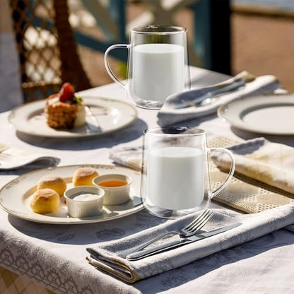 Joeyan Clear Double Walled Glass Coffee Mugs, Double Layer Tea Latte Cappuccino Cups with Handle, Double Lined Insulated High Borosilicate Glassware for Milk and Other Hot Beverages, 13.5 oz, Set of 2 - color: 500ml-Clear with handle