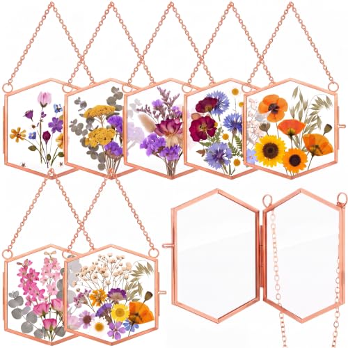 Leinuosen 8 Pcs Pressed Flower Frames Dried Flower Hanging Glass Frame 3.7'' x 3.3'' Vintage Brass Hexagon Floating Double Picture Artwork Display for Photo Picture DIY Home(Rose Gold) - color: Rose Gold