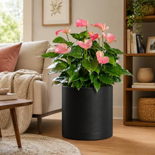 Giraffe Creation 14 Inch Cylinder Plant Pot, Modern Round Planter with Drainage Holes and Saucer, Durable Plastic Flower Pot for Indoor Outdoor Plants, Black - color: Black 14 Inch