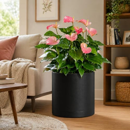 Giraffe Creation 14 Inch Cylinder Plant Pot, Modern Round Planter with Drainage Holes and Saucer, Durable Plastic Flower Pot for Indoor Outdoor Plants, Black - color: Black 14 Inch