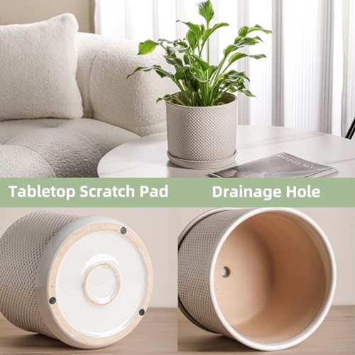 8 Inch Plant Pot: Ceramic Planter with Drainage Hole & Saucer Indoor Outdoor Plants - Flowerpot with Bonded Tray for Home Office - Beaded Embossed Style, Cream White | Indoor/Outdoor Plant Pot with Tray - Flowerpot for Home/Office - Beaded Embosse, Cream