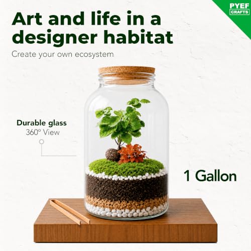 Terrarium Kit for Plants DIY (1 Gallon) | Starter Pack – Closed Ecosystem – 1 Gal Glass – Succulents, Air Plants, Bonsai, Indoor Plants – (Plants Not Included) - size: 1 Gallon