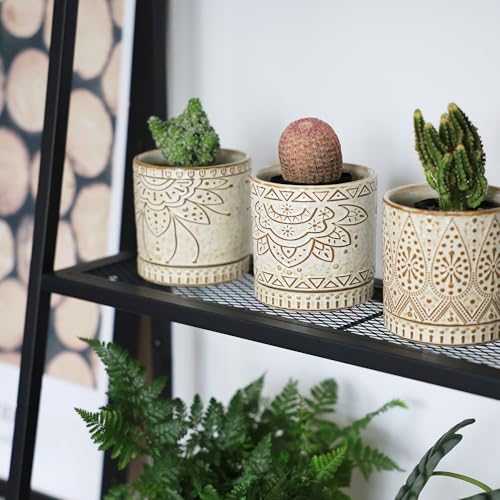 Gepege Ceramic Succulent Pots, 4 Inch Small Plant Pots with Drainage | Ceramic succulent pots with drainage holes, ceramic saucers and mesh pads, set of 4, ideal for cactus and succulents - color: White, size: 4 Inch - Set of 4
