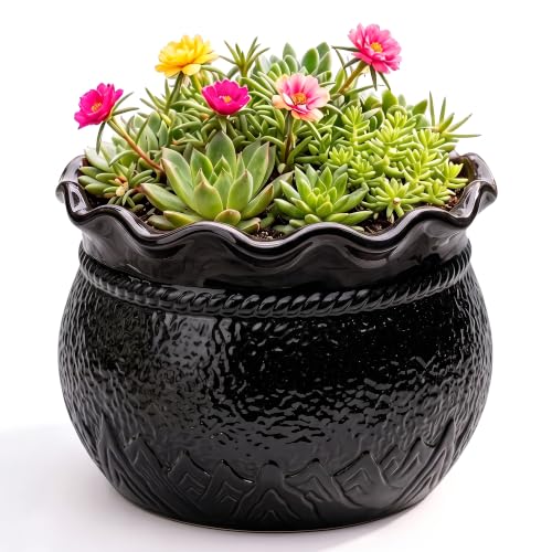 Ceramic Planter Pots, 8 Inch Plant Pot for Indoor Plants, Black | Unique Ceramic Planter with Drainage Hole, Round Decorative Flower Pots, Bathroom Patio Decor, Garden Gifts - color: Black, size: 8 Inch