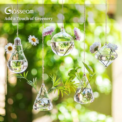Glasseam Hanging Plant Propagation Station: 5Pcs Small Glass Terrarium Jars | Hydroponic Planters for Indoor Pothos Cutting Propagate, Home Wall Window Decor, Handmade, Gifts for Plant Lovers