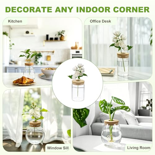 M METERXITY 1 Pack Glass Planter Terrarium with Wooden Cover, Desktop Plant Propagation Station Clear Vase for Hydroponic Plants Propagation/Home Garden Decor/Plant Lover [3.35'' x 4.72''] - size: 3.35'' x 4.72''