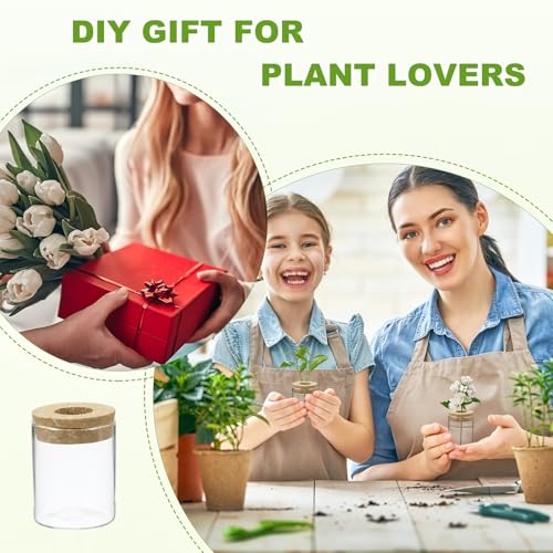 M METERXITY 1 Pack Glass Planter Terrarium with Wooden Cover, Desktop Plant Propagation Station Clear Vase for Hydroponic Plants Propagation/Home Garden Decor/Plant Lover [2.56'' x 3.15''] - size: 2.56'' x 3.15''