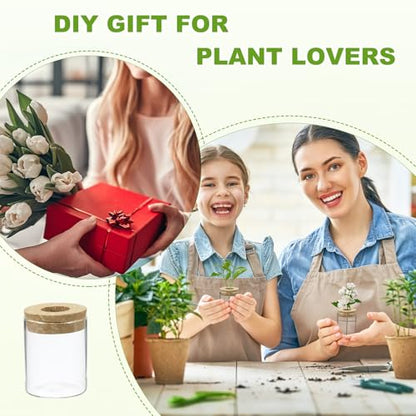 M METERXITY 1 Pack Glass Planter Terrarium with Wooden Cover, Desktop Plant Propagation Station Clear Vase for Hydroponic Plants Propagation/Home Garden Decor/Plant Lover [2.56'' x 3.15''] - size: 2.56'' x 3.15''