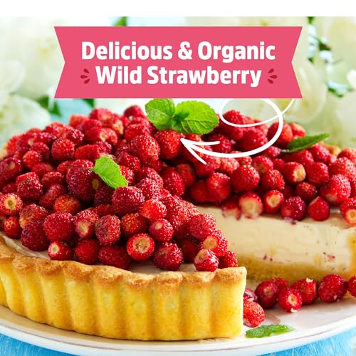 Back to The Roots Organic Strawberry Grow Kit — Grows Year Round, Includes Everything Needed for Planting - style: Strawberry
