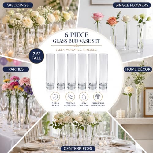 Koyal Wholesale Bud Vases, 7.5 Inch Clear Glass Cylinder, Set of 6