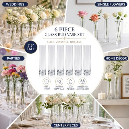 Koyal Wholesale Bud Vases, 7.5 Inch Clear Glass Cylinder, Set of 6
