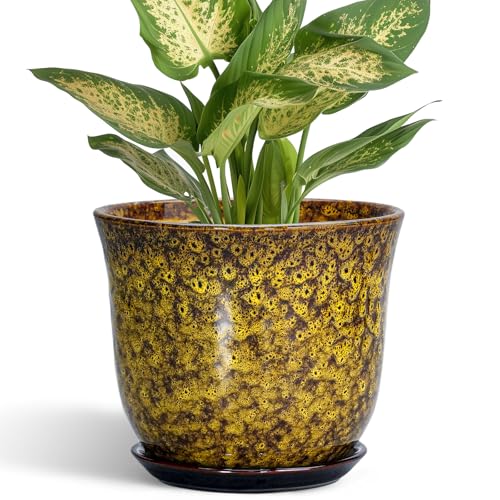 Ceramic Plant Pots - 5.6 Inch Planter with Drainage Hole and Saucer, Succulent Orchid Pots for Indoor Outdoor, Small Round Flower Pot, Room Window Office Decor, House Warming Gifts, Yellow - color: Leopard Glaze Yellow, size: 6 Inch