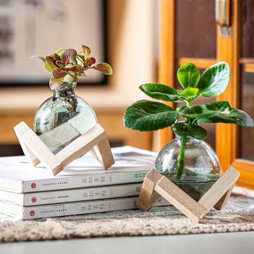 Plant Propagation Station, Plant Terrarium with Wooden Stand for Hydroponic Plant Propagation, Propagation Vases for Plants, Green Glass Bulb Vases for Home Office Decor (2)