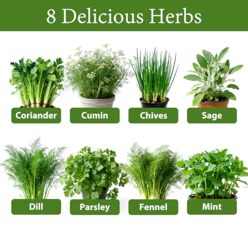 LUOJIBIE Herb Garden Kit Indoor, Herb Growing Kit with Seeds & Tools, Birthday Gifts for Women Men Mom Dad Girls Boys, House Warming Gifts New Home, Anniversary Wedding Gifts, Kitchen Décor