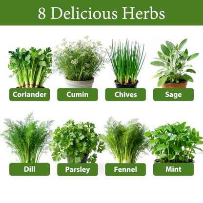 LUOJIBIE Herb Garden Kit Indoor, Herb Growing Kit with Seeds & Tools, Birthday Gifts for Women Men Mom Dad Girls Boys, House Warming Gifts New Home, Anniversary Wedding Gifts, Kitchen Décor