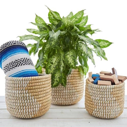 Small Grass Gold Ribbon Basket (10" Small) - size: 10" Tall
