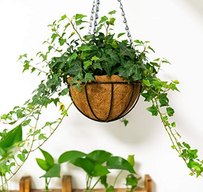 Kingbuy 12" Metal Hanging Basket for Herbs & Flowers – 6" Depth Rust-Resistant Wire with Coconut Liner & Adjustable Chains for Kitchen Window, Balcony & Garden - 1 Pack - size: 12 Inch, style: 1 Pack