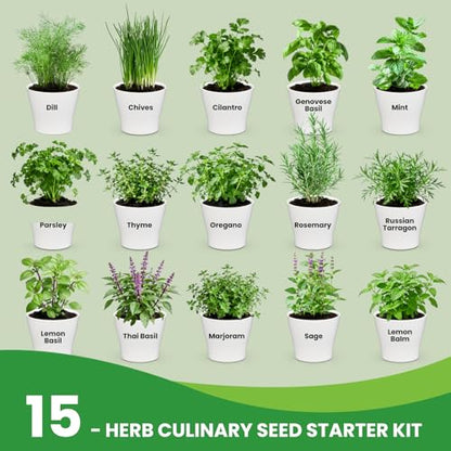 Herb Garden Starter Kit – Fruivity 12800+ 15 in 1 Herb Heirloom Seed Kits for Indoor/Outdoor Planting | Herb Indoor Garden Kit Starter - Complete Herb Garden Starter Set with Gift Packaging for Family